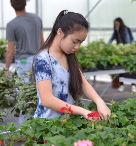 47799320052_c1ae75a361_o