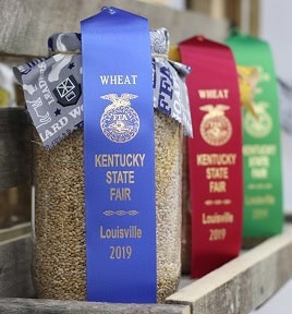 48571563077_3096042c2e_o ribbon awards from the Kentucky State Fair