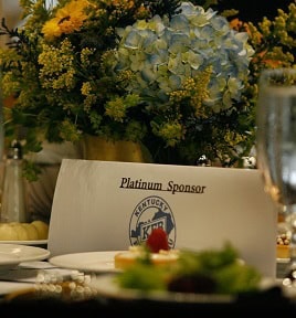 48784455058_a47c6b7663_o