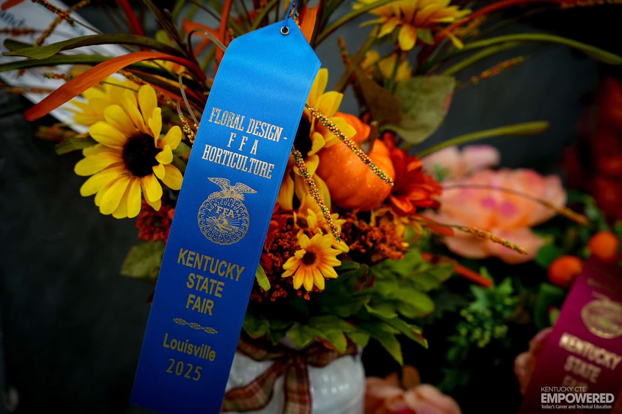 54766109512_7af0dbc5d3_k