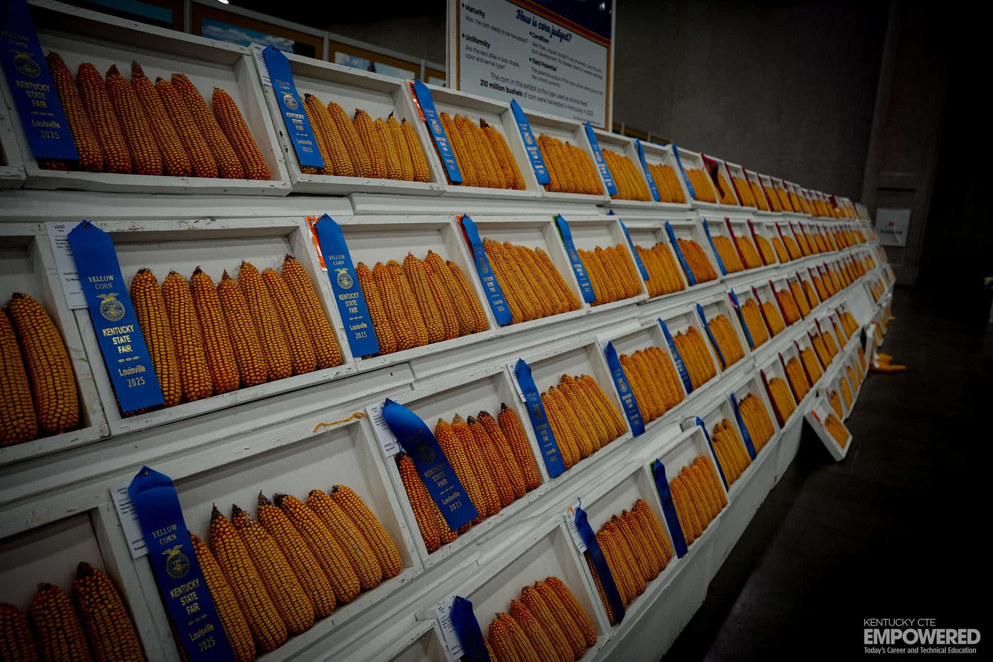 54767190973_f7138d177e_k