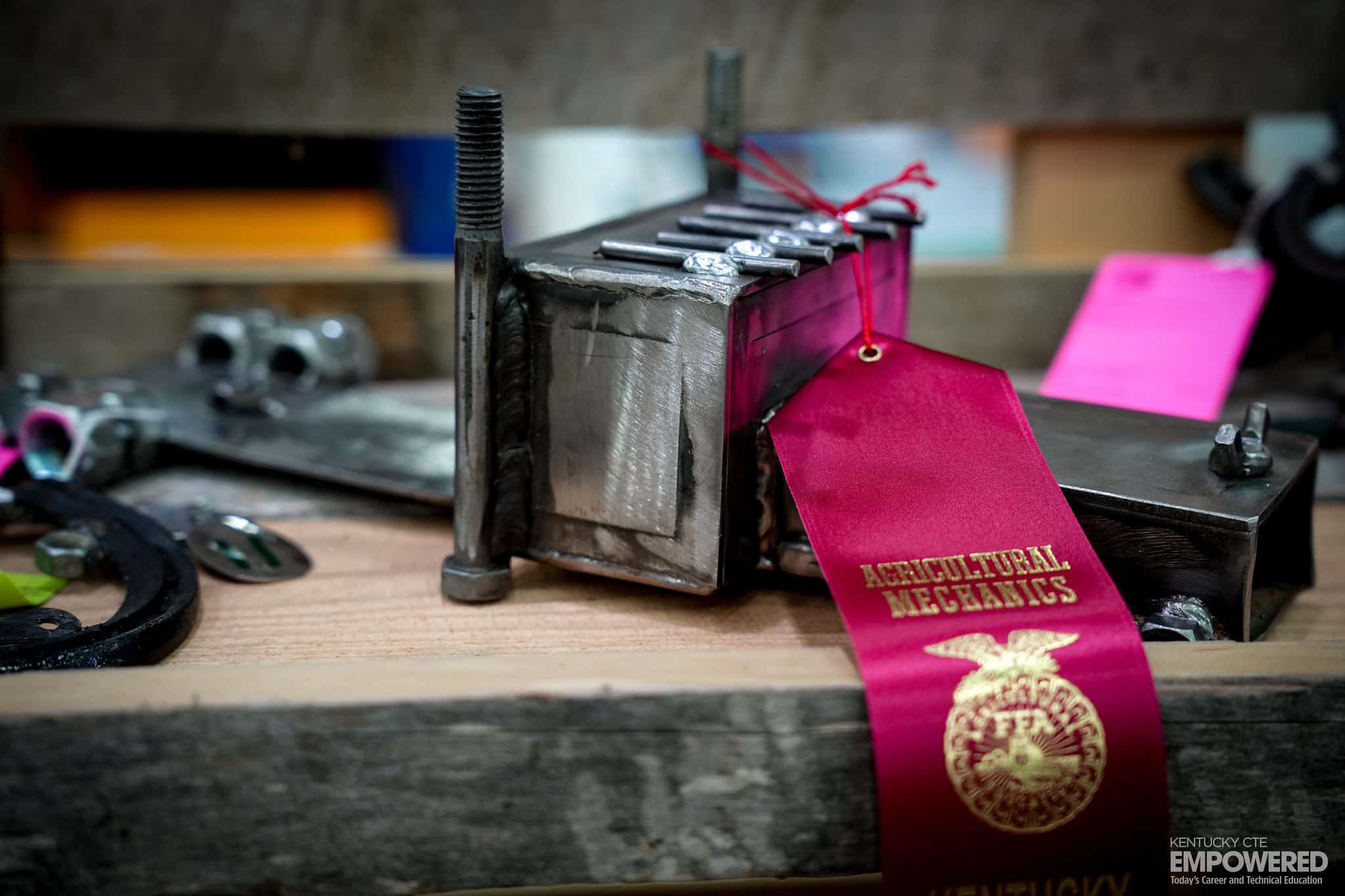 54767191989_a6af62621e_k KY FFA Sate Fair Exhibit with Ribbon